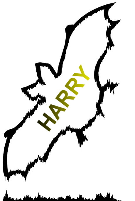 Harry78